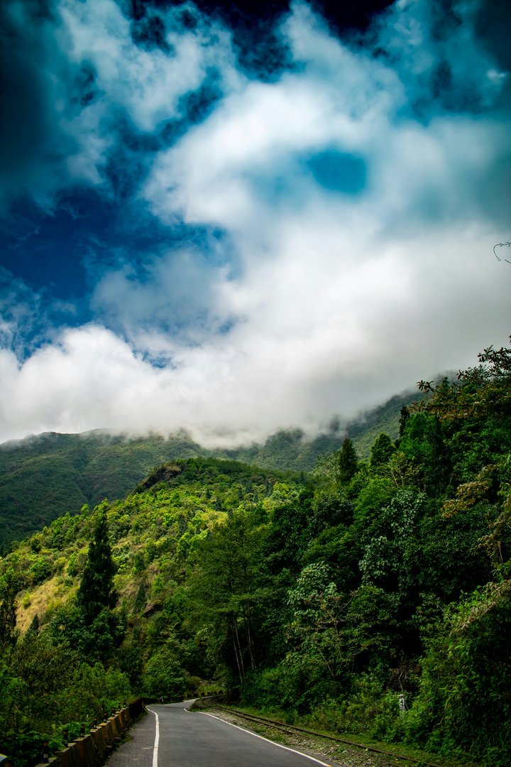 Darjeeling Tea Gardens